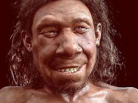 Neandertallerin 59 Bin Yıl Önce Diş Tedavisi Yaptığı Ortaya Çıktı