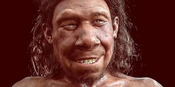 Neandertallerin 59 Bin Yıl Önce Diş Tedavisi Yaptığı Ortaya Çıktı