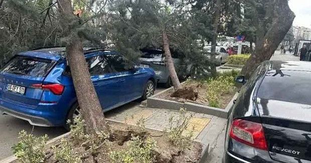 Ankara'da Şiddetli Fırtına Ağaçları Söktü, Direkleri Yıktı