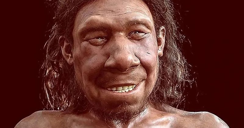 Neandertallerin 59 Bin Yıl Önce Diş Tedavisi Yaptığı Ortaya Çıktı