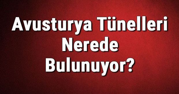 Avusturya'daki Tünellerin Konumu ve Geçiş Ücretleri Hakkında Bilgiler
