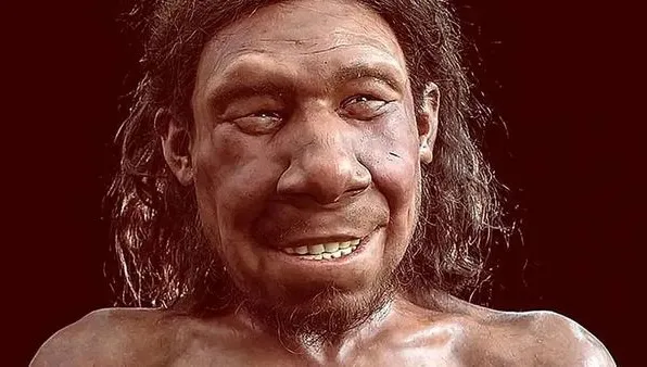 Neandertallerin 59 Bin Yıl Önce Diş Tedavisi Yaptığı Ortaya Çıktı