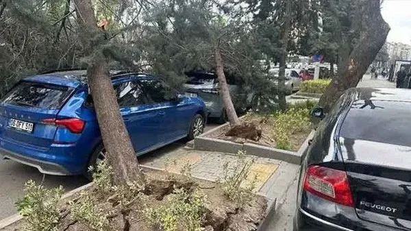 Ankara'da Şiddetli Fırtına Ağaçları Söktü, Direkleri Yıktı