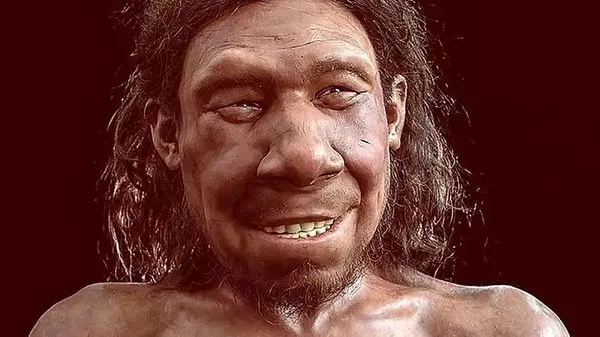 Neandertallerin 59 Bin Yıl Önce Diş Tedavisi Yaptığı Ortaya Çıktı