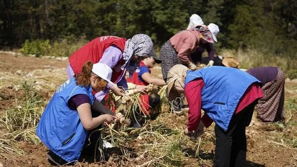 2026 Gönüllü Hasat Etkinliği Takvimi ve Programı Açıklandı