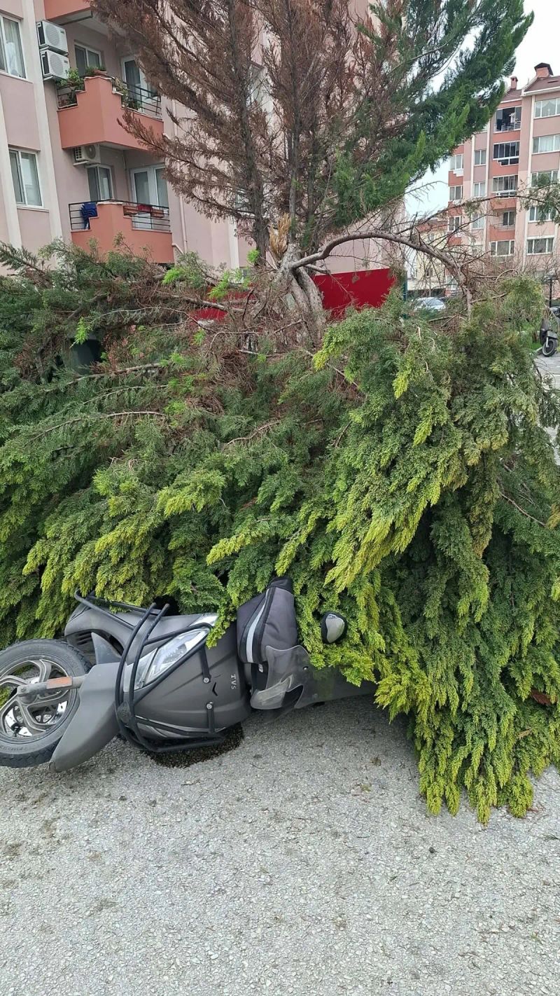 Çanakkale’de Fırtına Ağaçları Devirdi, Balkon Duvarı Yıkıldı