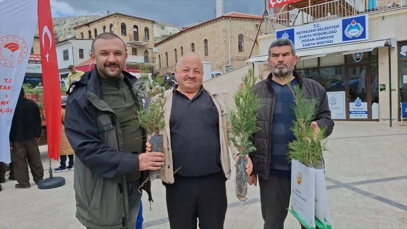 Beypazarı'nda 1500 Sedir ve Kızılçam Fidanı Dağıtıldı