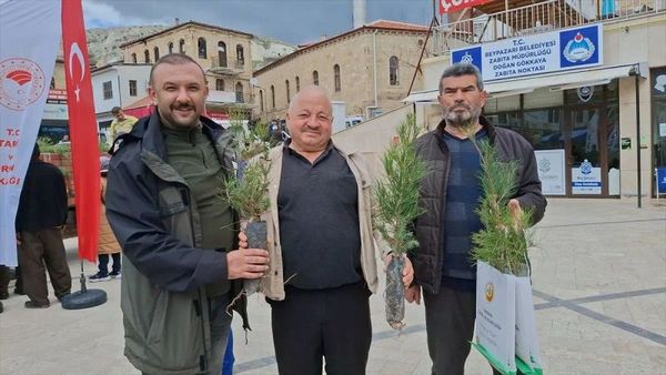 Beypazarı'nda 1500 Sedir ve Kızılçam Fidanı Dağıtıldı