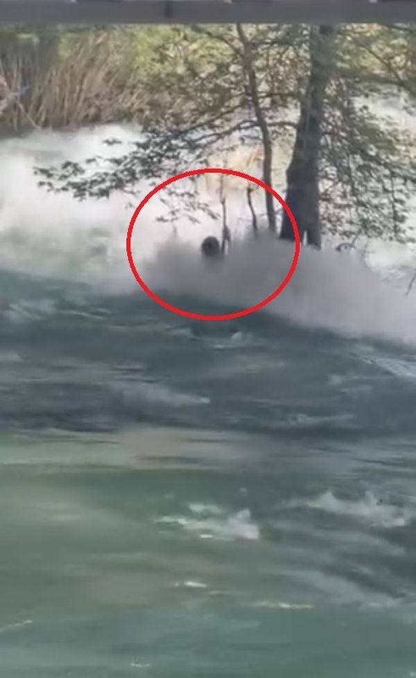 Batu Yetiş'in Berdan Çayı'nda Kurtulma Çabası Kamerada