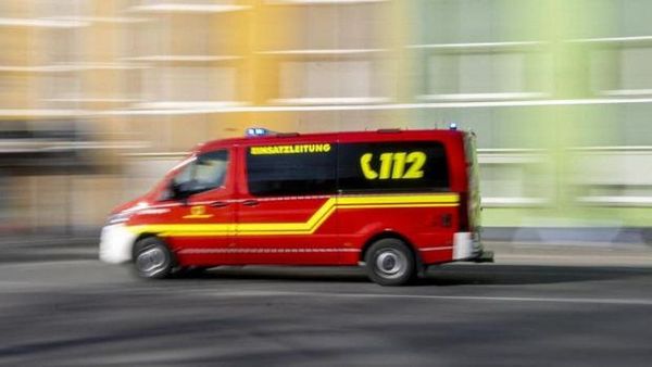 Hamburg'da Mahsur Kalan Kurda Yardım Etmek İsteyen Kadın Kurt Saldırısına Uğradı