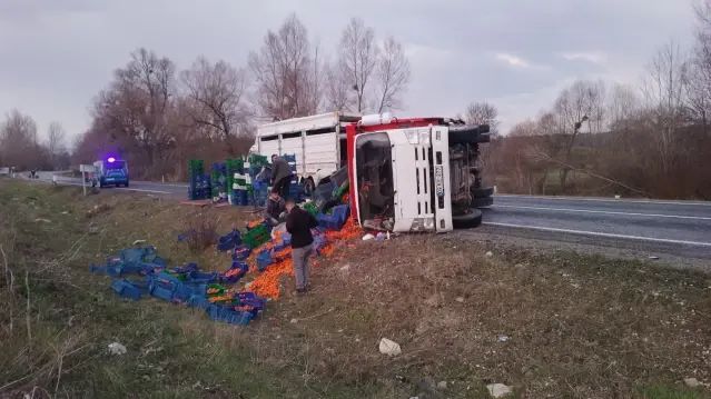Domanıç'ta Kamyonet Devrildi: 2 Kişi Yaralandı