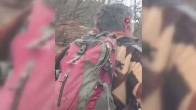 Erzurum İspir'de Ayı ile Karşılaşma Anı Kamerada