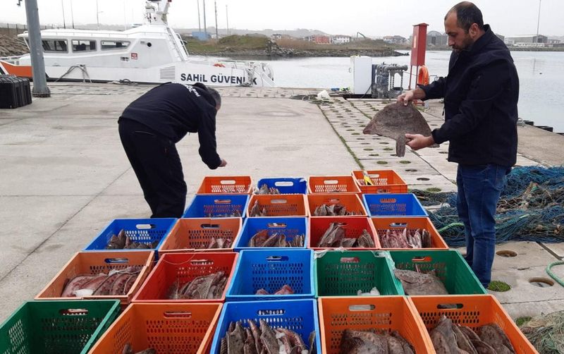 Karasu'da Kaçak Avlanan 850 Kilo Kalkan Balığına El Konuldu