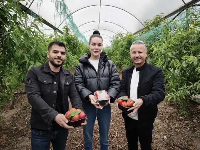 Mersin'de Nektarin Üretiminde İkinci Hasat Dönemi Başladı