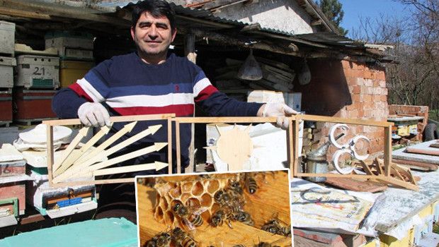 Amasya'da Arılar Siyasi Rekabeti Peteklere Taşıdı: Seçim Sonuçları Eylül'de Netleşecek