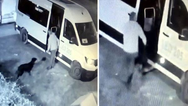 Mahallenin sevilen köpeği Garip'in kayboluşunun sırrı güvenlik kameralarında çözüldü