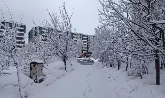 Bitlis'te Kar Nedeniyle 5 Köy Yolu Ulaşıma Kapandı