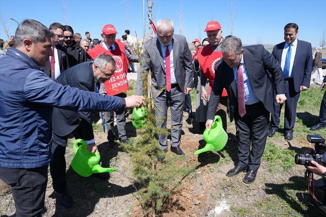 AYBÜ Esenboğa Kampüsünde 2 Bin Fidan Toprakla Buluştu