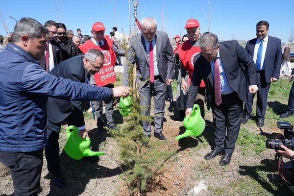 AYBÜ Esenboğa Kampüsünde 2 Bin Fidan Toprakla Buluştu