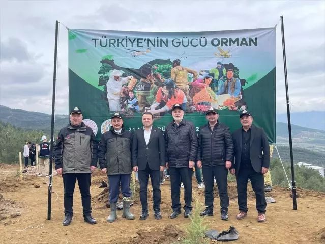 Niksar'da Orman Haftası Kapsamında Fidan Dikimi Yapıldı