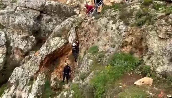 Şanlıurfa'da Uçurumdan Düşen Köpek 4 Saatlik Operasyonla Kurtarıldı