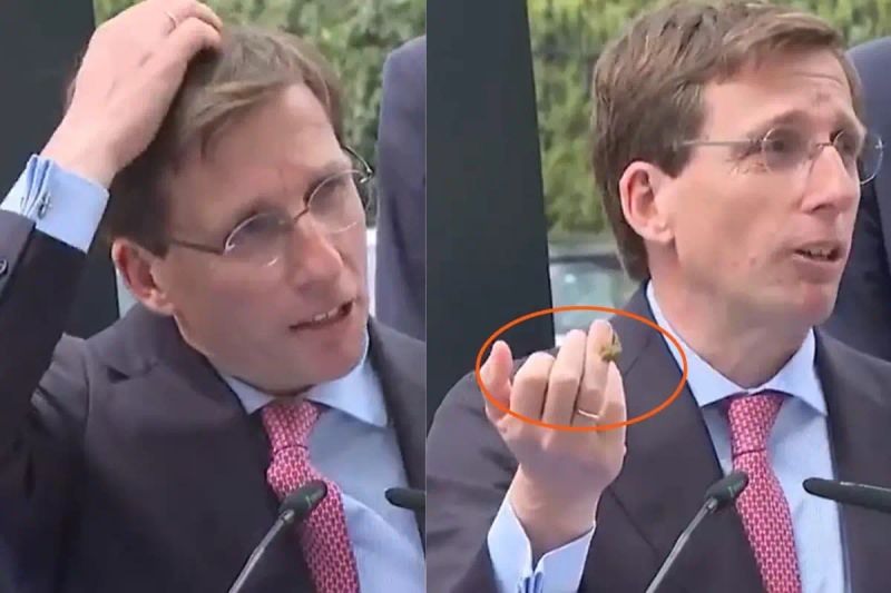 Madrid Belediye Başkanı'nın Konuşması Güvercin Pisliğiyle Kesintiye Uğradı