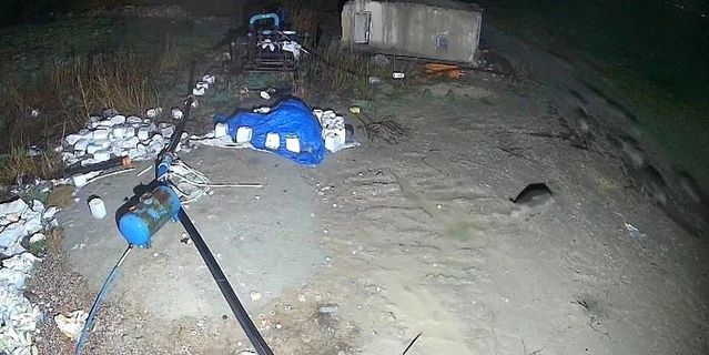 Konya Karapınar’da Domuz Sürüsü Yerleşim Alanına Girdi