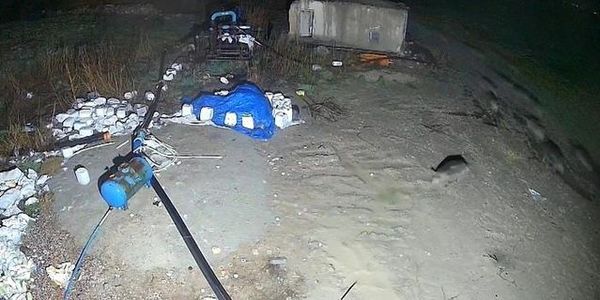 Konya Karapınar’da Domuz Sürüsü Yerleşim Alanına Girdi