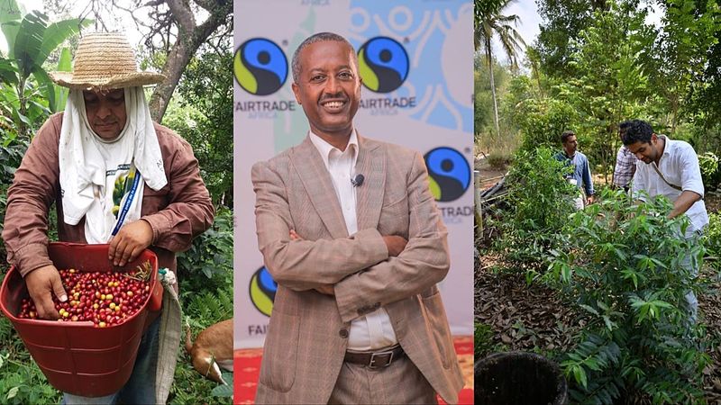 İklim Değişikliği Küçük Kahve Çiftçilerini Zorluyor: Hükümetlerden Acil Destek Talebi