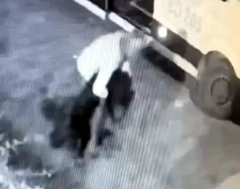 Avcılar'da Mahallenin Maskotu 'Garip' Köpek Minibüsle Kaçırıldı