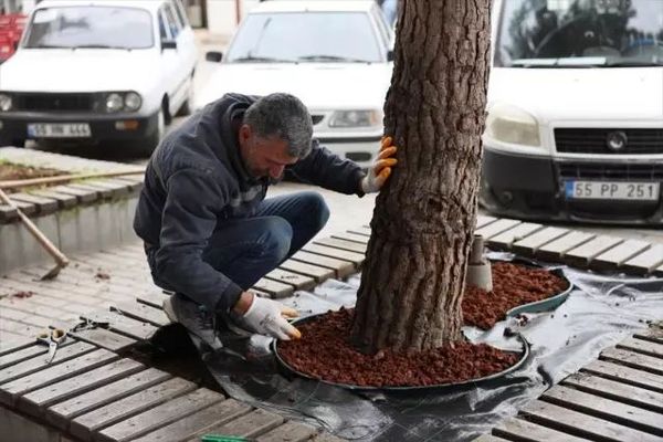Vezirköprü Belediyesi Çevre Düzenlemede Yeni Adımlar Atıyor