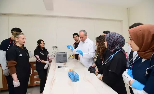 Van Kedilerinde Kan Grupları Üzerine YYÜ'den Önemli Araştırma