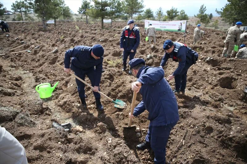 Kastamonu'da 1340 Fidan, Orman Haftası Etkinliğiyle Toprakla Buluştu