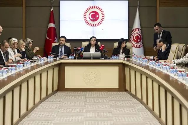 TBMM Çocuk Cinayetleri Komisyonunda Ailelerin Acıları ve Talepleri Dinlendi