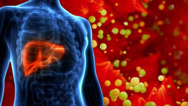 Karaciğer Hasarının En Önemli 6 Nedeni ve Korunma Yolları