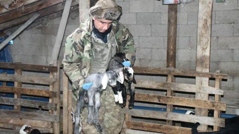 Yozgatlı Çiftçi Doğum Sürecinde Hayvan Ölümünü Önleyen Yöntemiyle Takdir Topladı