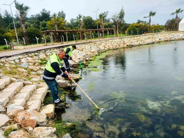 Didim Belediyesi Temizlik ve Düzenleme Çalışmalarını Yaz Öncesi Yoğunlaştırdı