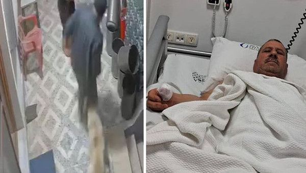 Sahipsiz Köpeklerin Saldırısı Sonrası Parmak Onarımı Mümkün Olmadı