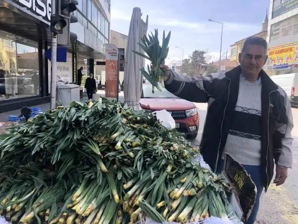 Erzincan’da Doğal Antibiyotik Çiriş Otu Pazarları Süslüyor