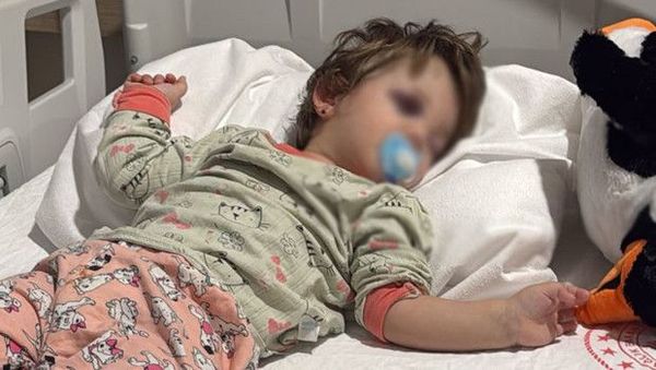 İçişleri Bakanlığı'ndan Çınarcık'taki Çocuk ve Baba Saldırısına Kapsamlı İnceleme