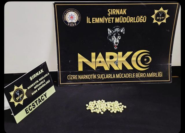 Cizre'de Düzenlenen Uyuşturucu Operasyonunda 2 Kişi Gözaltına Alındı