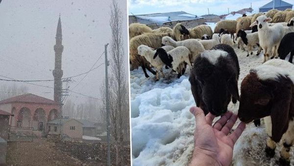 Ağrı ve Bitlis'te Nisan Ayında Kar Yağışı ve Bahar Bir Arada Yaşanıyor