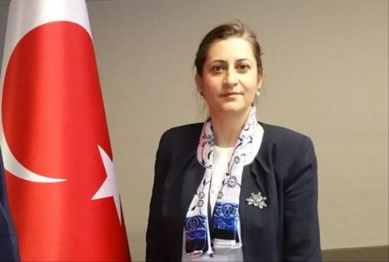 Dilşad Kırbaşlı Karaoğlu, Senegal Büyükelçisi Olarak Atandı