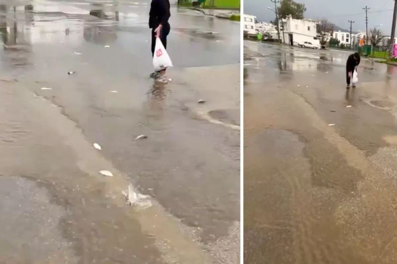 Bodrum'da Sağanak Sonrası Balıklar Asfalta Düştü, Vatandaşlar Topladı