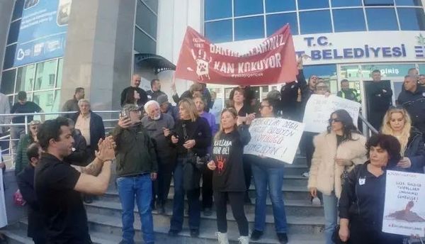 Edremit'te 40 Sokak Köpeğinin Ölümü Hayvanseverleri Sokakta Buluşturdu