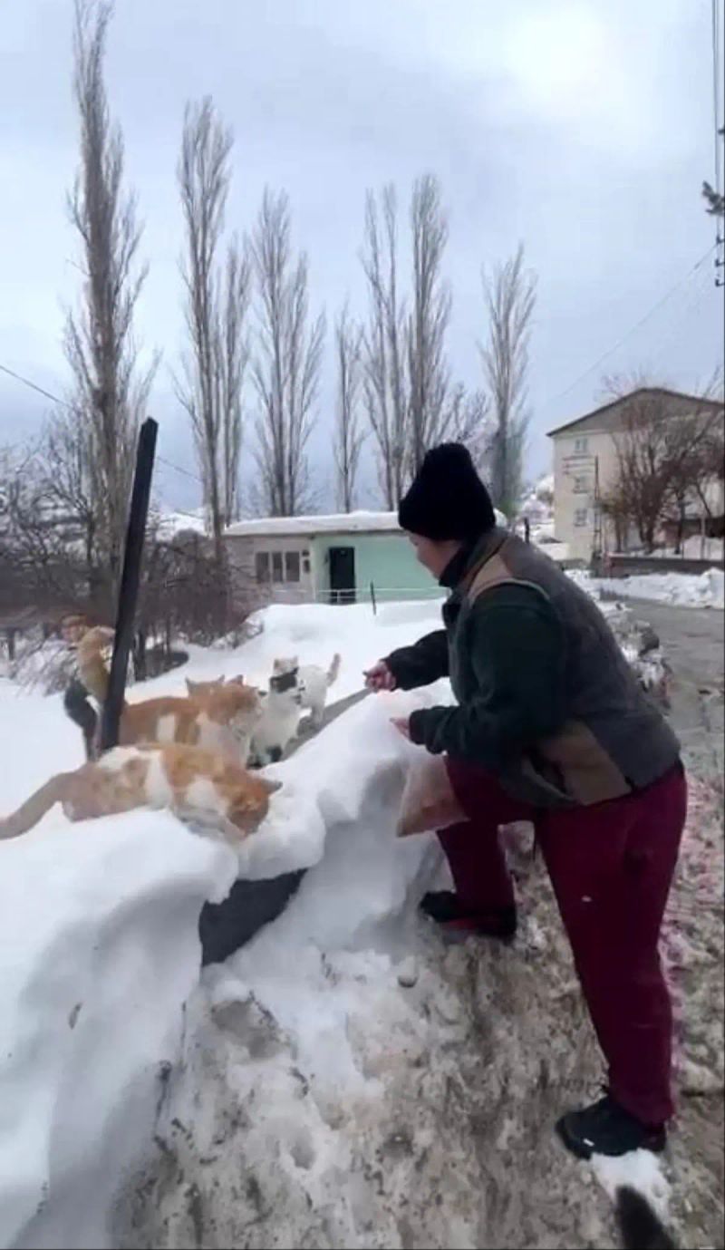 Selin İlhan, Sokak Hayvanları İçin Yıllık 1400 Kilometre Yol Kat Ediyor