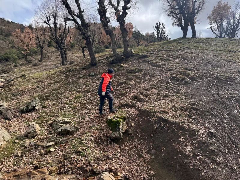 Diyarbakır'da 84 Yaşındaki Zihinsel Engelli Kişi İçin Arama Çalışmaları Devam Ediyor