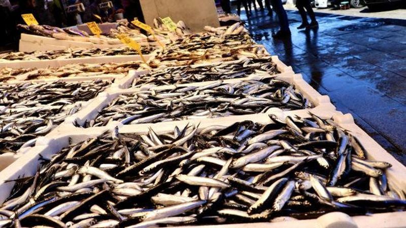 Şubat Ayında Hamsi İstanbul'da En Çok Tüketilen Balık Oldu