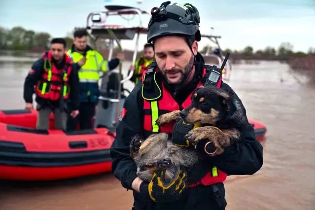 Bursa’da Su Baskınında Mahsur Kalan İki Köpek Belediye Ekiplerince Kurtarıldı