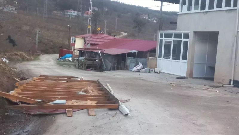 Ordu'da Fırtına 11 Evin Çatısını Uçurdu, Ağaçlar Devrildi